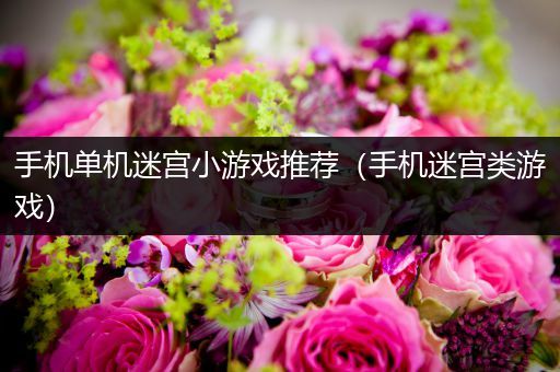 手机单机迷宫小游戏推荐（手机迷宫类游戏）
