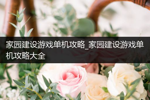 家园建设游戏单机攻略_家园建设游戏单机攻略大全