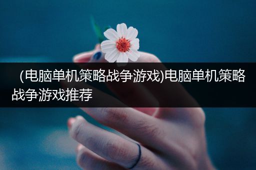 （电脑单机策略战争游戏)电脑单机策略战争游戏推荐