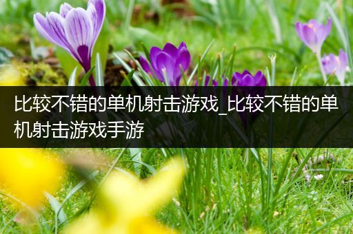 比较不错的单机射击游戏_比较不错的单机射击游戏手游