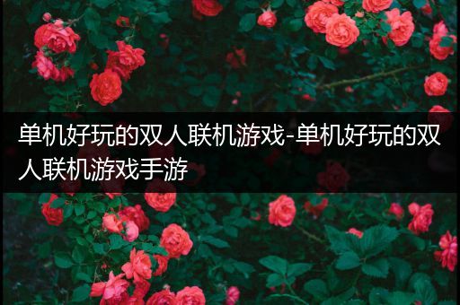 单机好玩的双人联机游戏-单机好玩的双人联机游戏手游