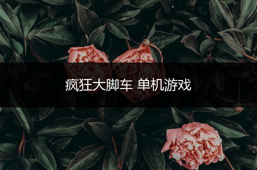 疯狂大脚车 单机游戏