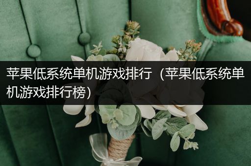苹果低系统单机游戏排行（苹果低系统单机游戏排行榜）