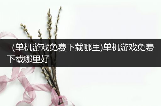 （单机游戏免费下载哪里)单机游戏免费下载哪里好