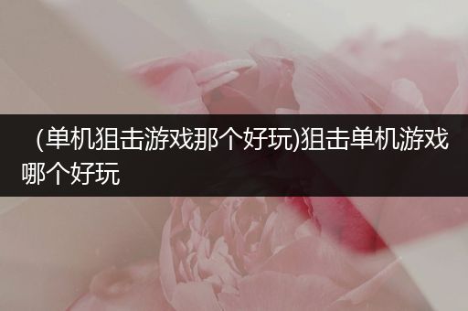 （单机狙击游戏那个好玩)狙击单机游戏哪个好玩
