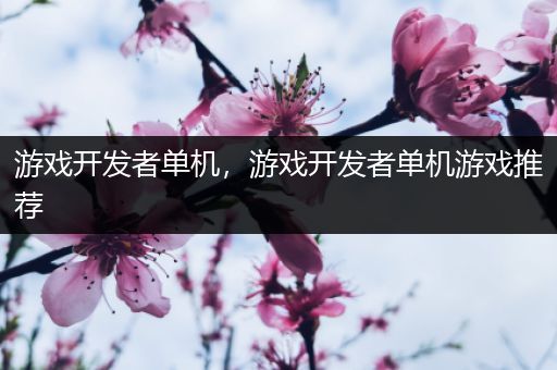 游戏开发者单机，游戏开发者单机游戏推荐