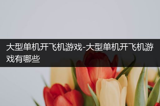 大型单机开飞机游戏-大型单机开飞机游戏有哪些