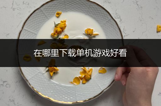 在哪里下载单机游戏好看