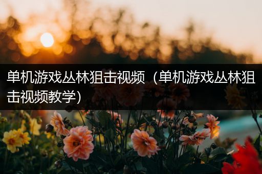 单机游戏丛林狙击视频（单机游戏丛林狙击视频教学）