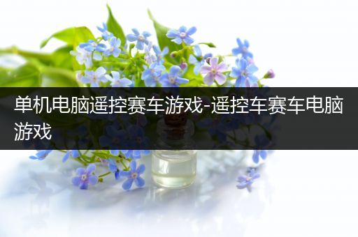 单机电脑遥控赛车游戏-遥控车赛车电脑游戏