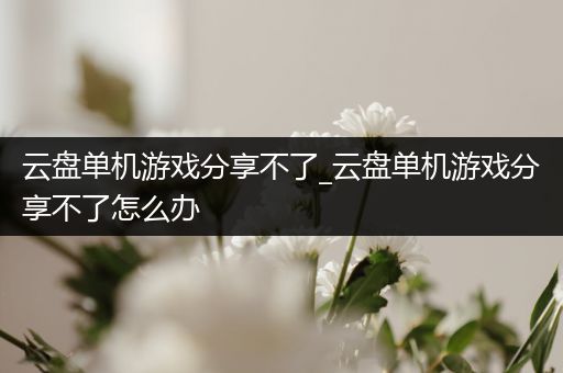 云盘单机游戏分享不了_云盘单机游戏分享不了怎么办