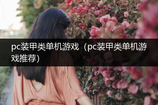 pc装甲类单机游戏（pc装甲类单机游戏推荐）