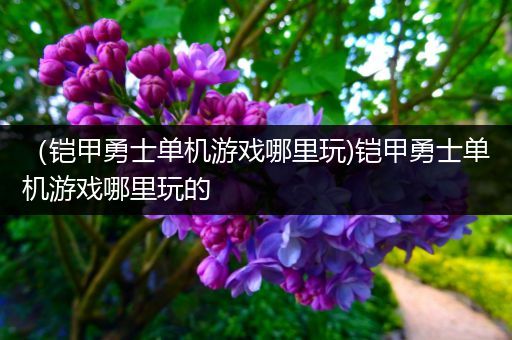 （铠甲勇士单机游戏哪里玩)铠甲勇士单机游戏哪里玩的