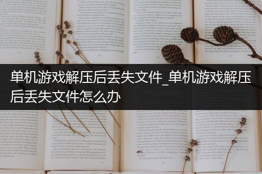 单机游戏解压后丢失文件_单机游戏解压后丢失文件怎么办
