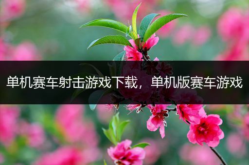 单机赛车射击游戏下载，单机版赛车游戏