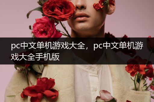 pc中文单机游戏大全，pc中文单机游戏大全手机版