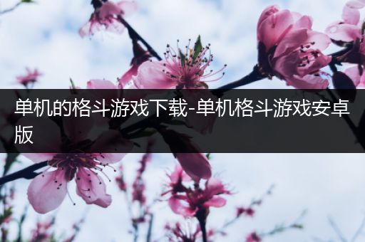 单机的格斗游戏下载-单机格斗游戏安卓版