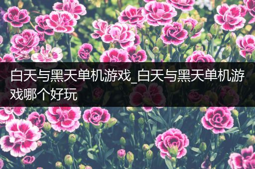 白天与黑天单机游戏_白天与黑天单机游戏哪个好玩