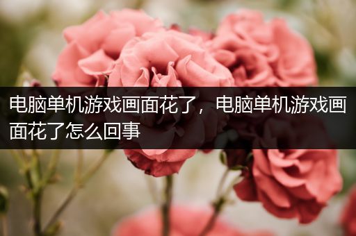 电脑单机游戏画面花了，电脑单机游戏画面花了怎么回事