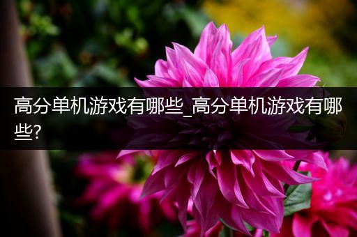 高分单机游戏有哪些_高分单机游戏有哪些?