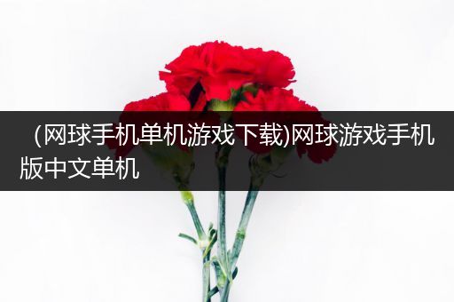 （网球手机单机游戏下载)网球游戏手机版中文单机