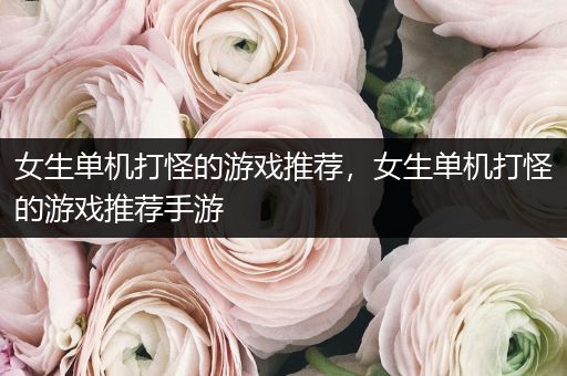女生单机打怪的游戏推荐，女生单机打怪的游戏推荐手游
