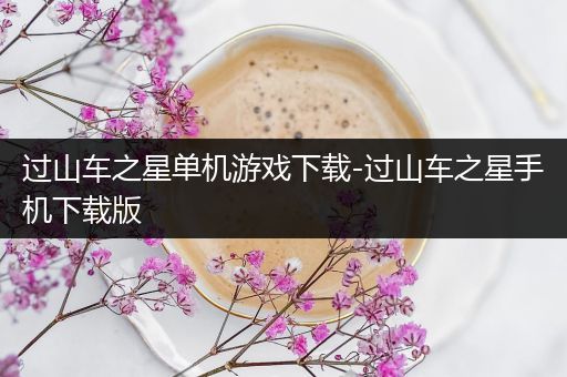 过山车之星单机游戏下载-过山车之星手机下载版