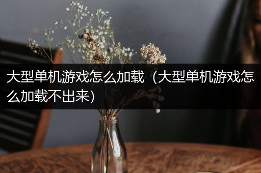 大型单机游戏怎么加载（大型单机游戏怎么加载不出来）