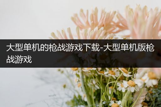 大型单机的枪战游戏下载-大型单机版枪战游戏