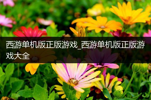 西游单机版正版游戏_西游单机版正版游戏大全
