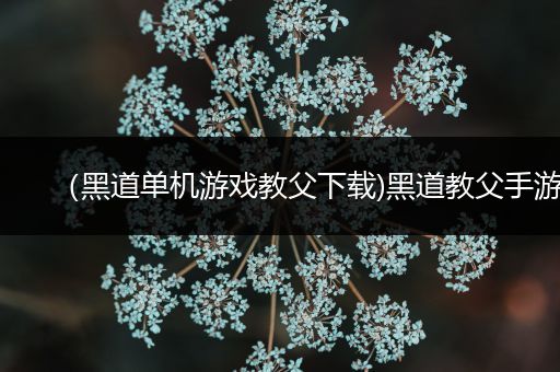 （黑道单机游戏教父下载)黑道教父手游