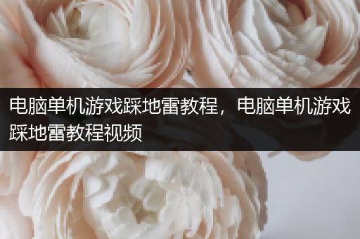 电脑单机游戏踩地雷教程，电脑单机游戏踩地雷教程视频