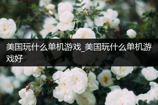美国玩什么单机游戏_美国玩什么单机游戏好