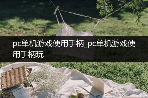 pc单机游戏使用手柄_pc单机游戏使用手柄玩