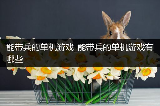 能带兵的单机游戏_能带兵的单机游戏有哪些