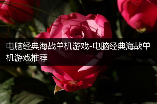 电脑经典海战单机游戏-电脑经典海战单机游戏推荐