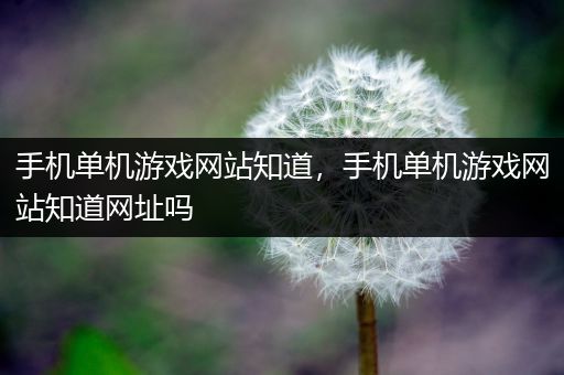 手机单机游戏网站知道，手机单机游戏网站知道网址吗