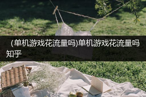 （单机游戏花流量吗)单机游戏花流量吗知乎