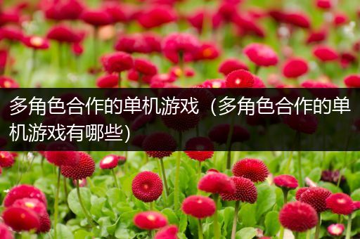 多角色合作的单机游戏（多角色合作的单机游戏有哪些）