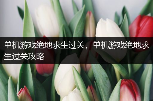单机游戏绝地求生过关，单机游戏绝地求生过关攻略