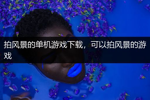 拍风景的单机游戏下载，可以拍风景的游戏