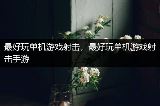 最好玩单机游戏射击，最好玩单机游戏射击手游