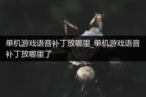 单机游戏语音补丁放哪里_单机游戏语音补丁放哪里了