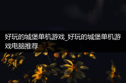 好玩的城堡单机游戏_好玩的城堡单机游戏电脑推荐