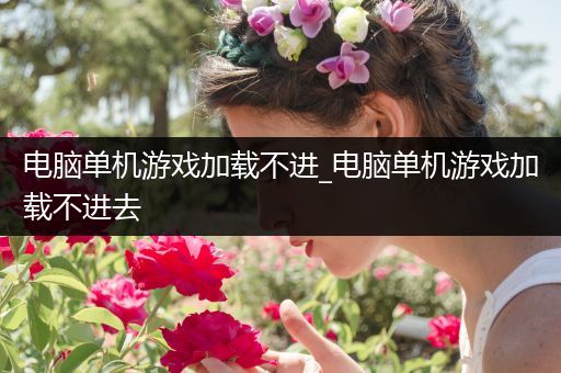 电脑单机游戏加载不进_电脑单机游戏加载不进去