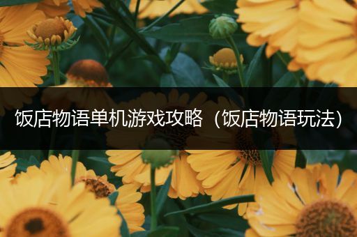 饭店物语单机游戏攻略（饭店物语玩法）