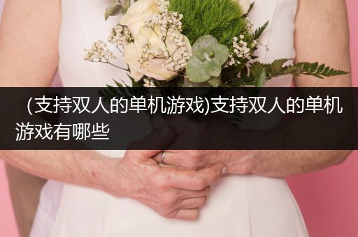 （支持双人的单机游戏)支持双人的单机游戏有哪些