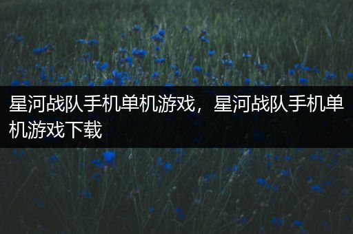 星河战队手机单机游戏，星河战队手机单机游戏下载