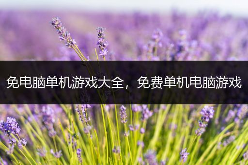 免电脑单机游戏大全，免费单机电脑游戏