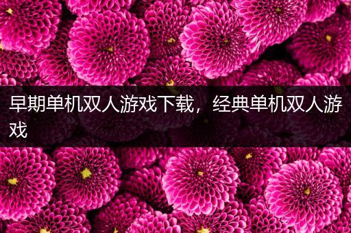 早期单机双人游戏下载，经典单机双人游戏